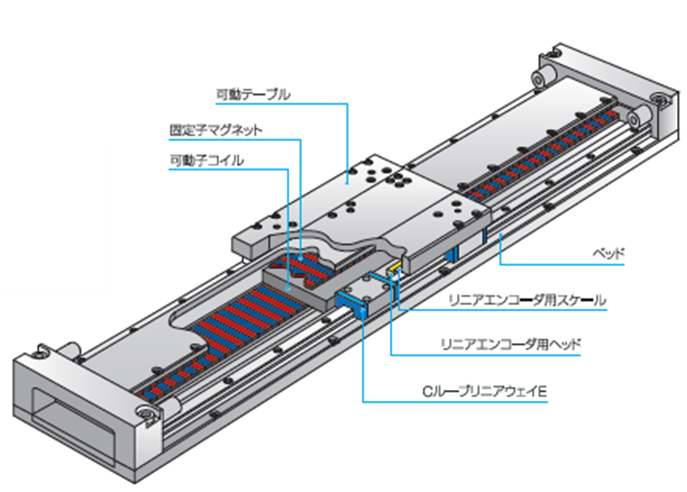 ダミーイメージ