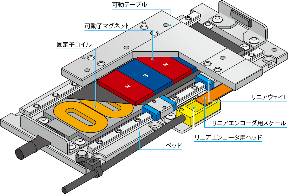 ダミーイメージ