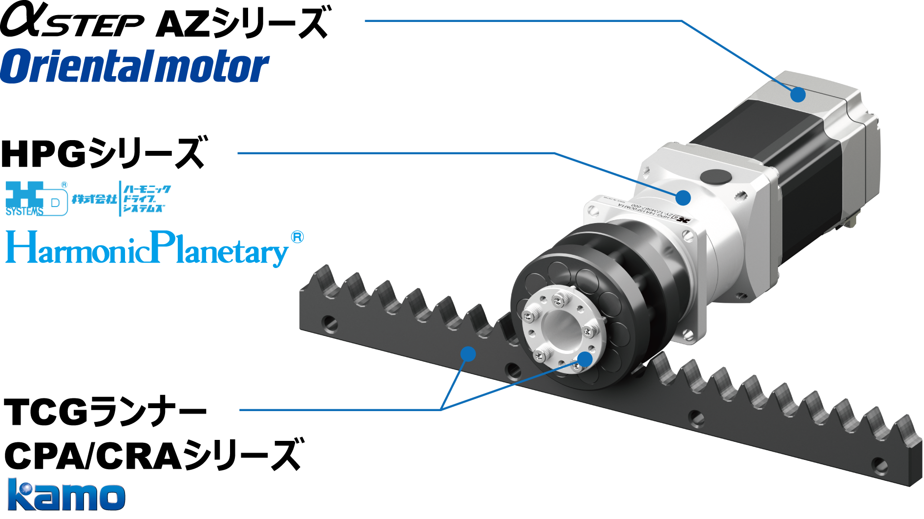 ダミーイメージ